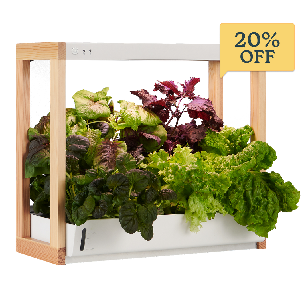 Personal Rise Garden Countertop Hydroponic System