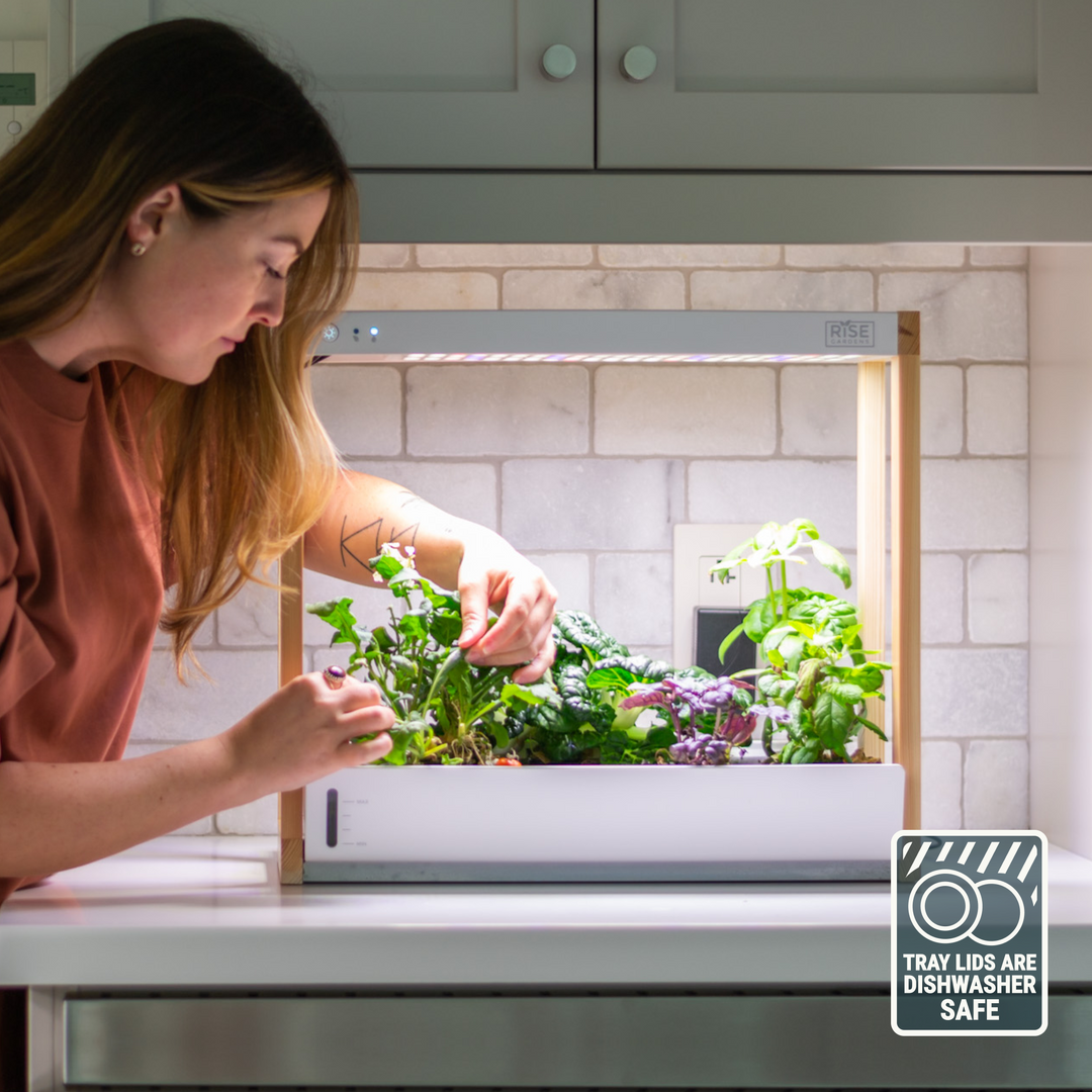 Personal Rise Garden Countertop Hydroponic System