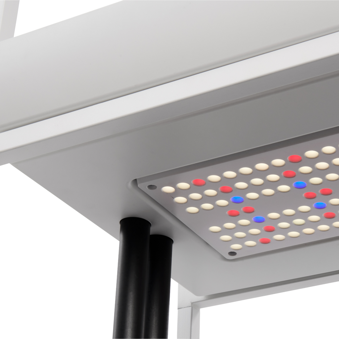 Rise Extension 3 Modular Add-On Level for Hydroponic Garden