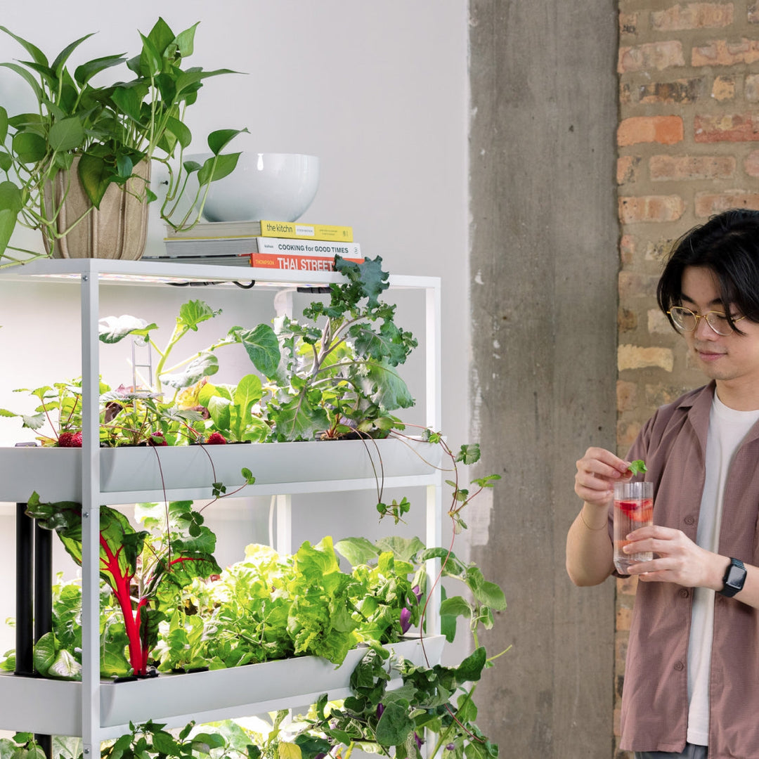 Rise Extension 3 Modular Add-On Level for Hydroponic Garden