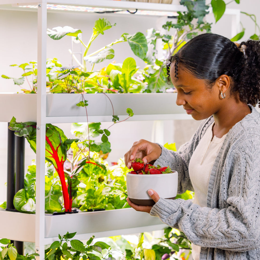 Rise Extension 3 Modular Add-On Level for Hydroponic Garden