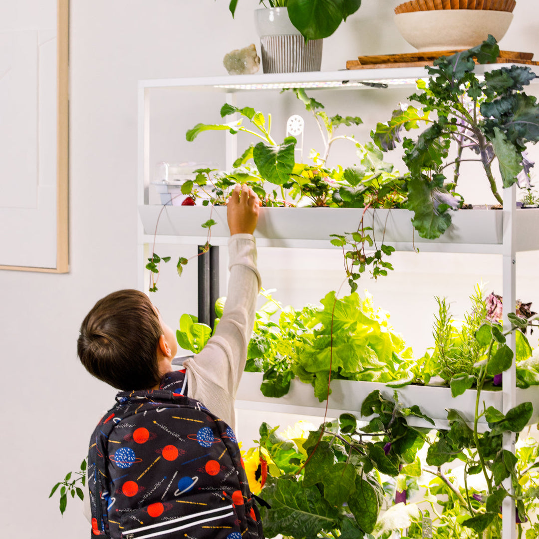 Rise Extension 3 Modular Add-On Level for Hydroponic Garden