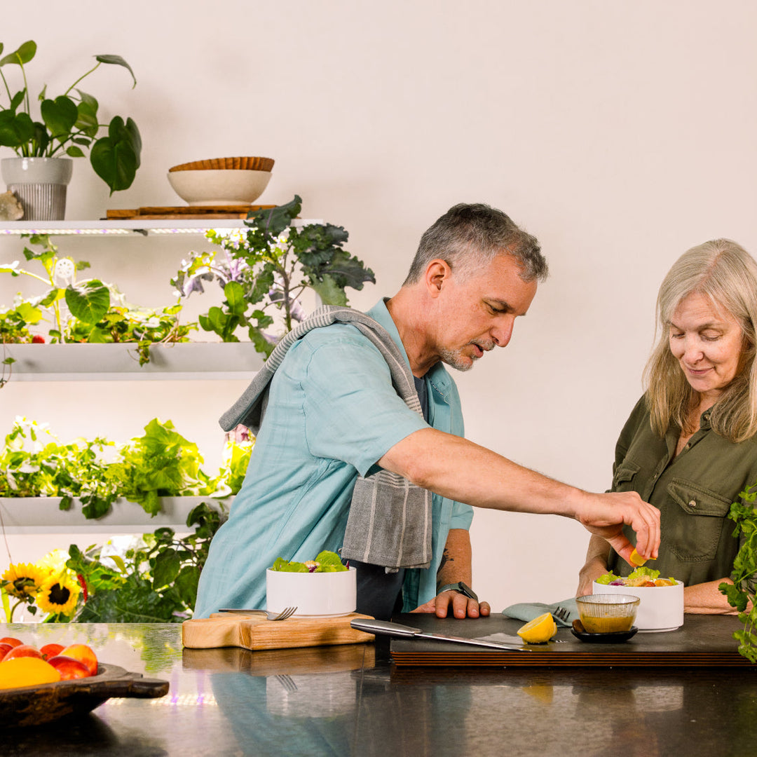 Rise Extension 3 Modular Add-On Level for Hydroponic Garden