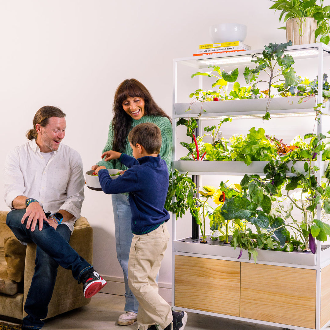 Rise Extension 3 Modular Add-On Level for Hydroponic Garden