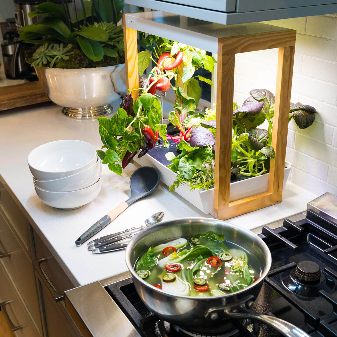 Personal Rise Garden Countertop Hydroponic System