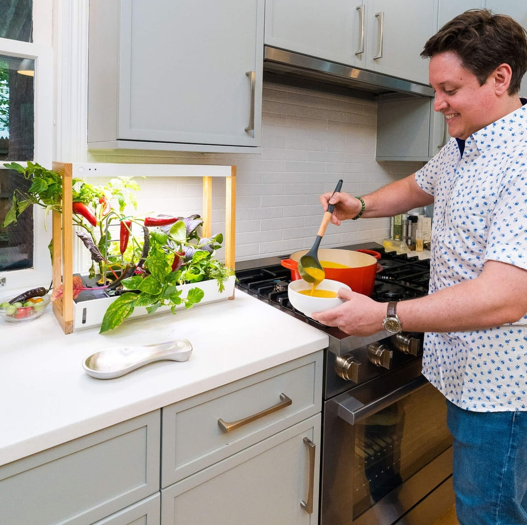 Personal Rise Garden Countertop Hydroponic System