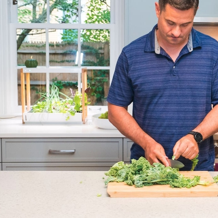 Personal Rise Garden Countertop Hydroponic System