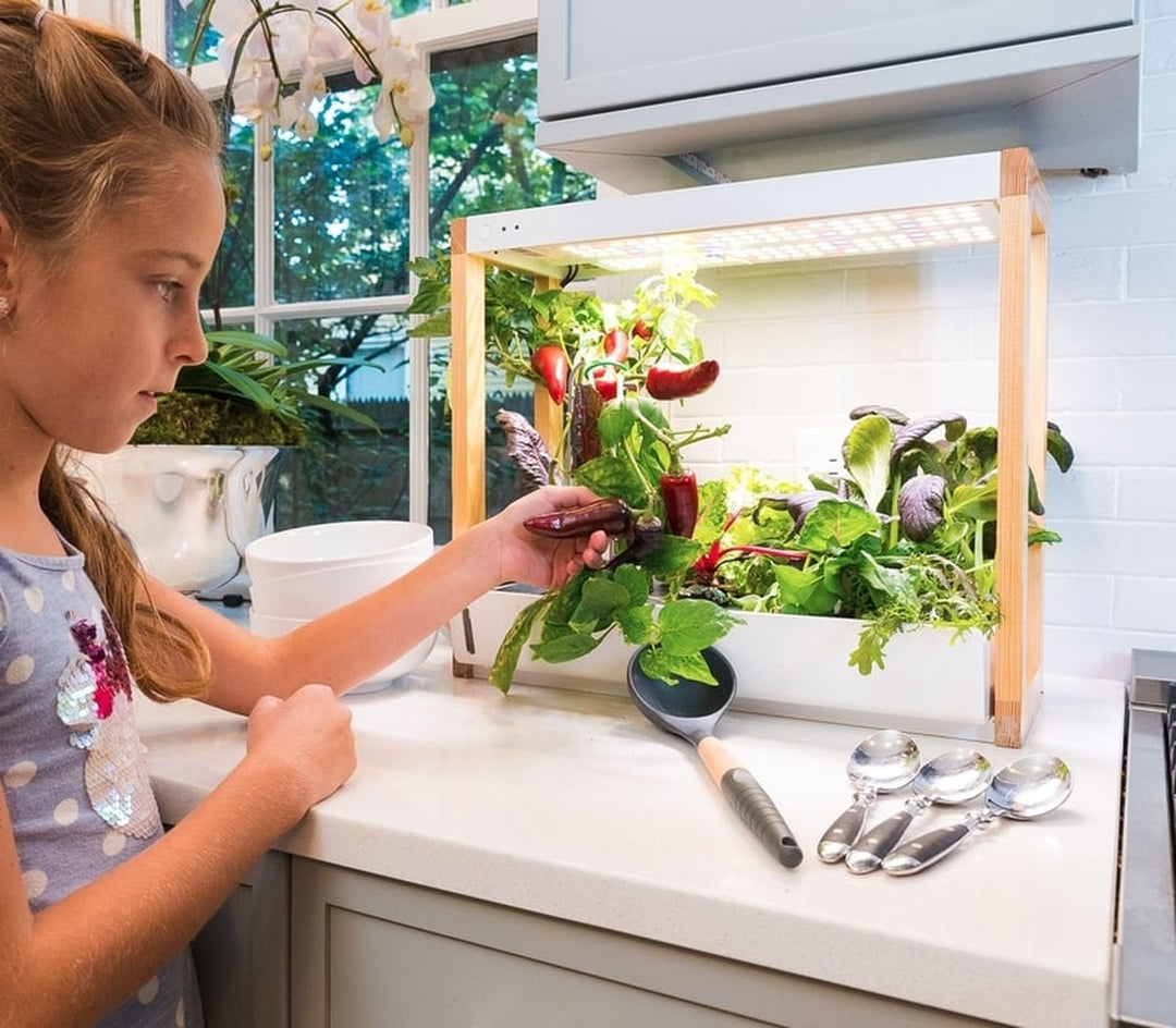 Personal Rise Garden Countertop Hydroponic System