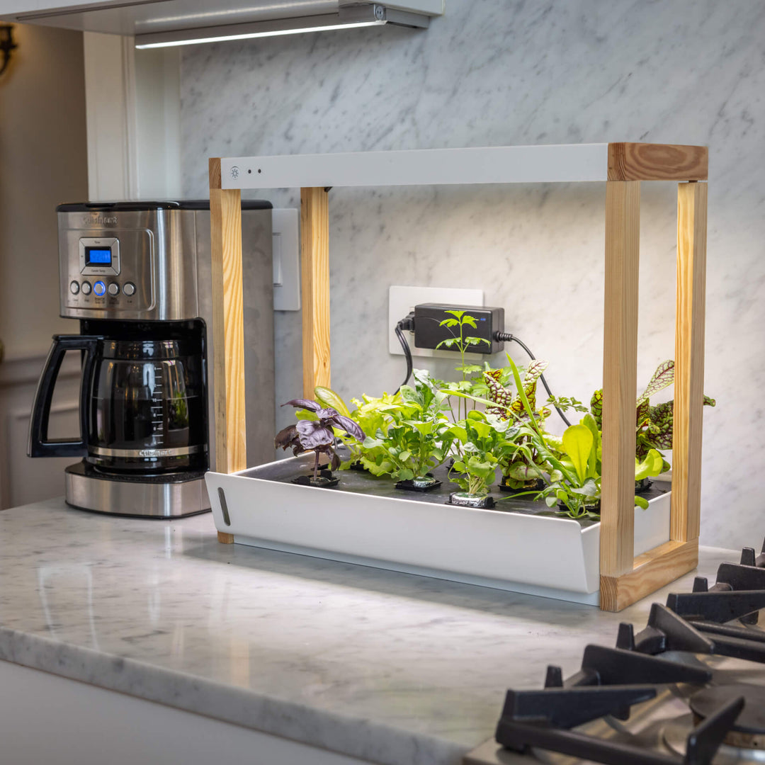 Personal Rise Garden Countertop Hydroponic System
