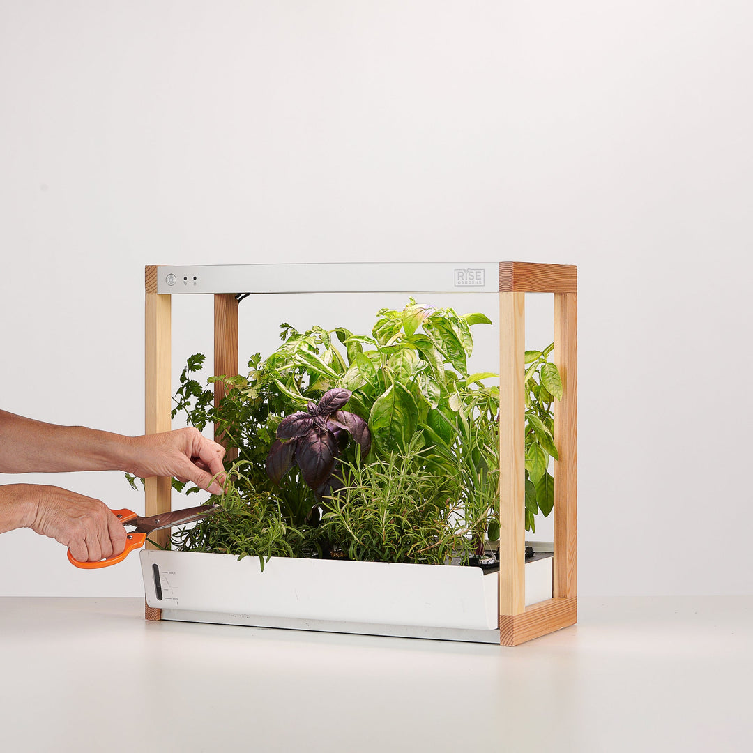 Personal Rise Garden Countertop Hydroponic System