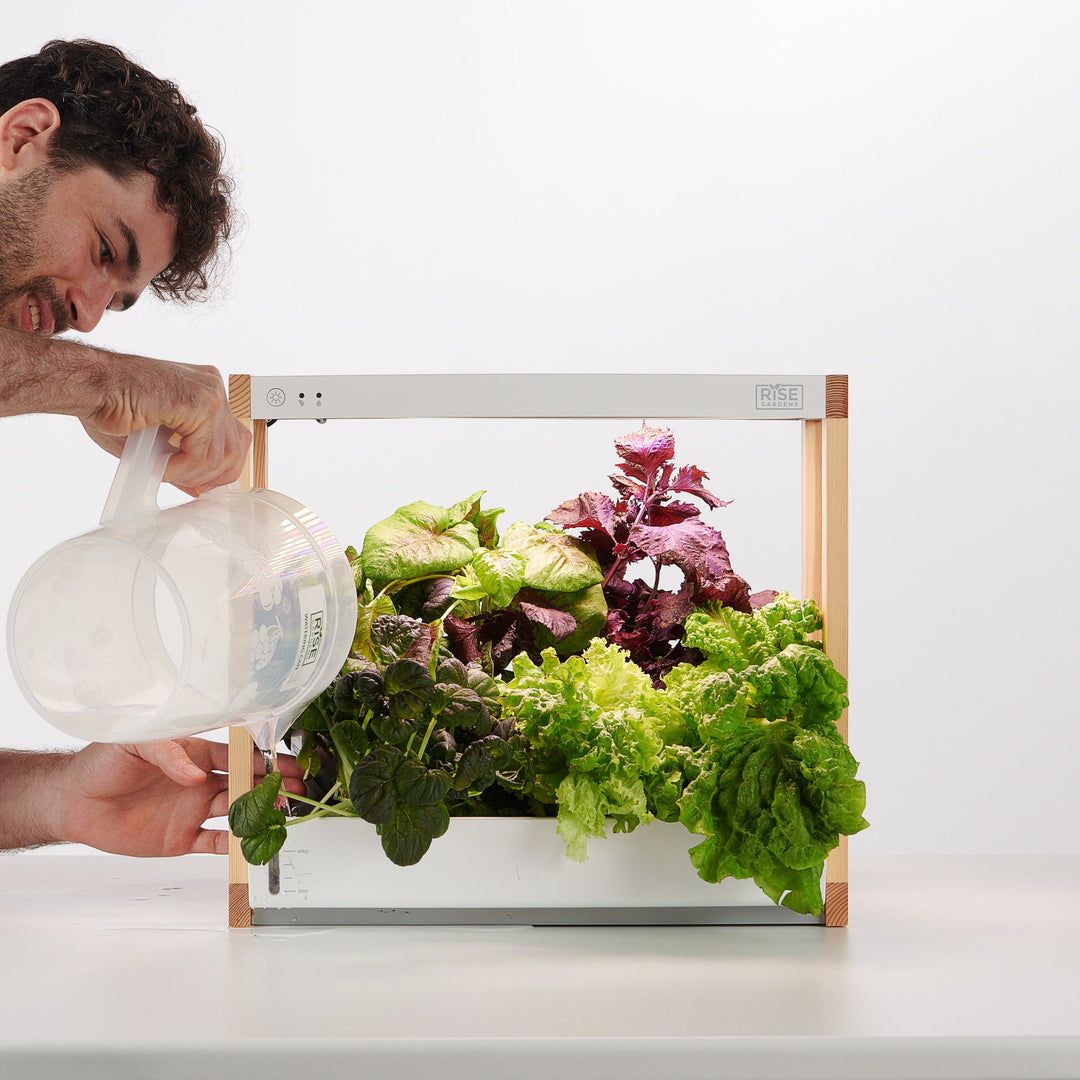 Personal Rise Garden Countertop Hydroponic System
