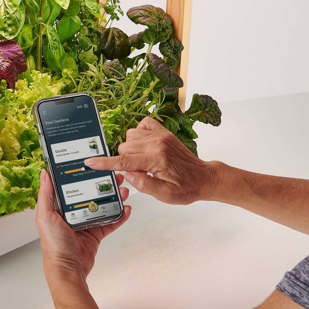 Personal Rise Garden Countertop Hydroponic System