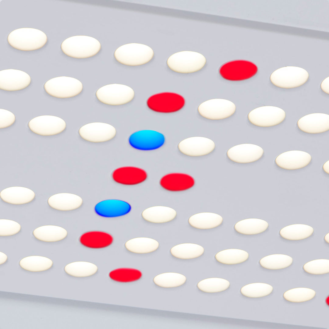 Personal Rise Garden Countertop Hydroponic System