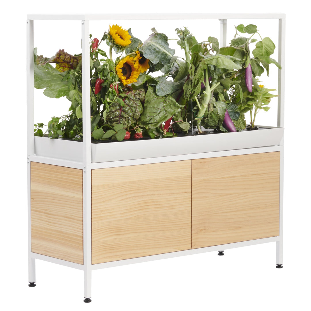 Rise Garden 3 Smart Indoor Hydroponic Garden System