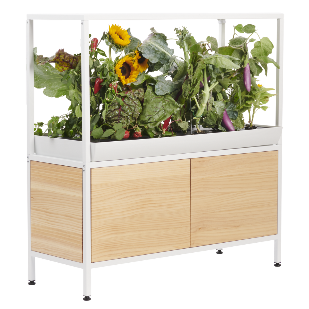 Rise Garden 3 Smart Indoor Hydroponic Garden System