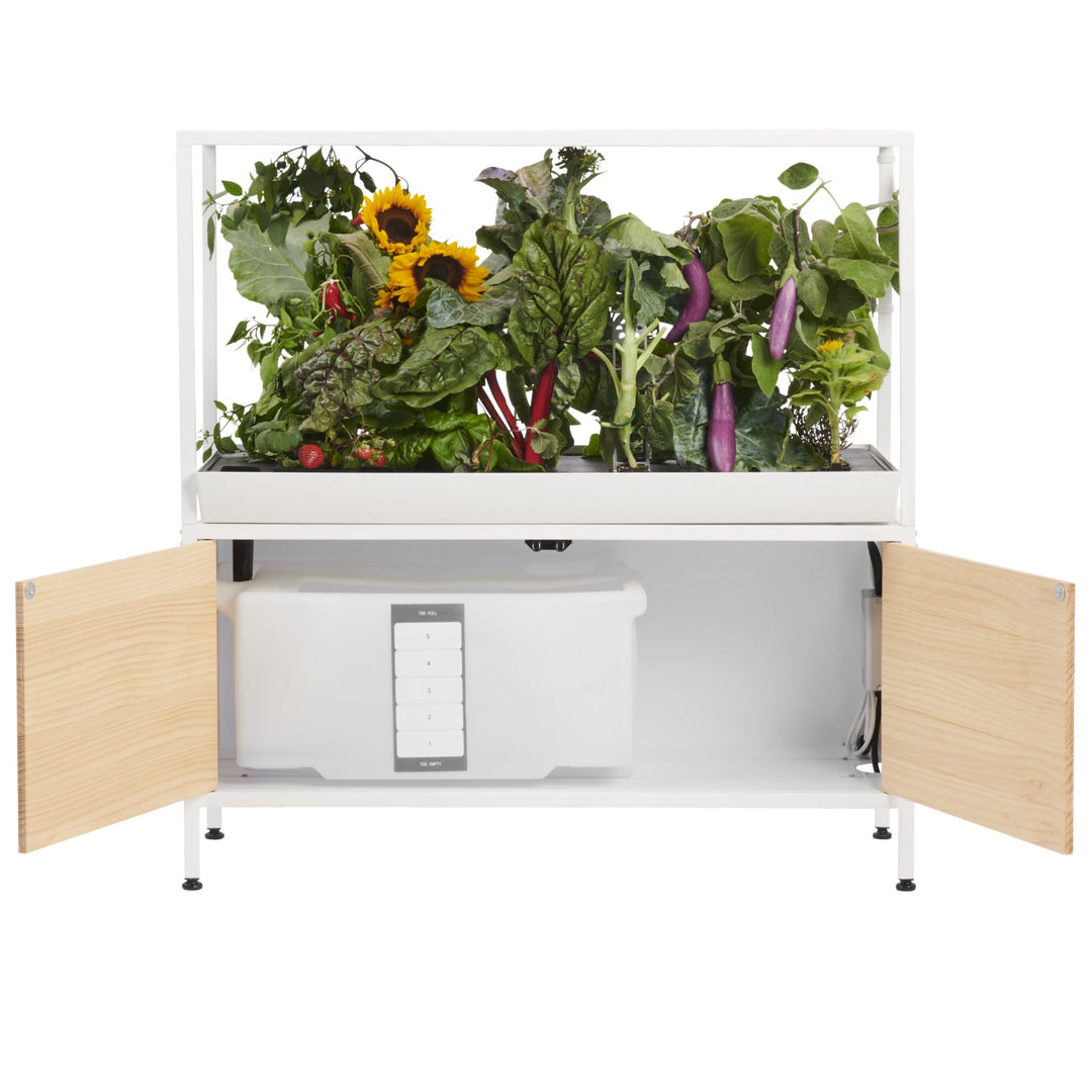Rise Garden 3 Smart Indoor Hydroponic Garden System