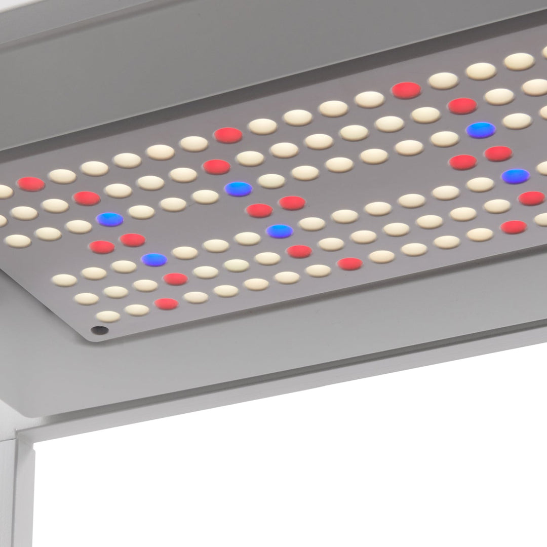 Rise Garden 3 Smart Indoor Hydroponic Garden System