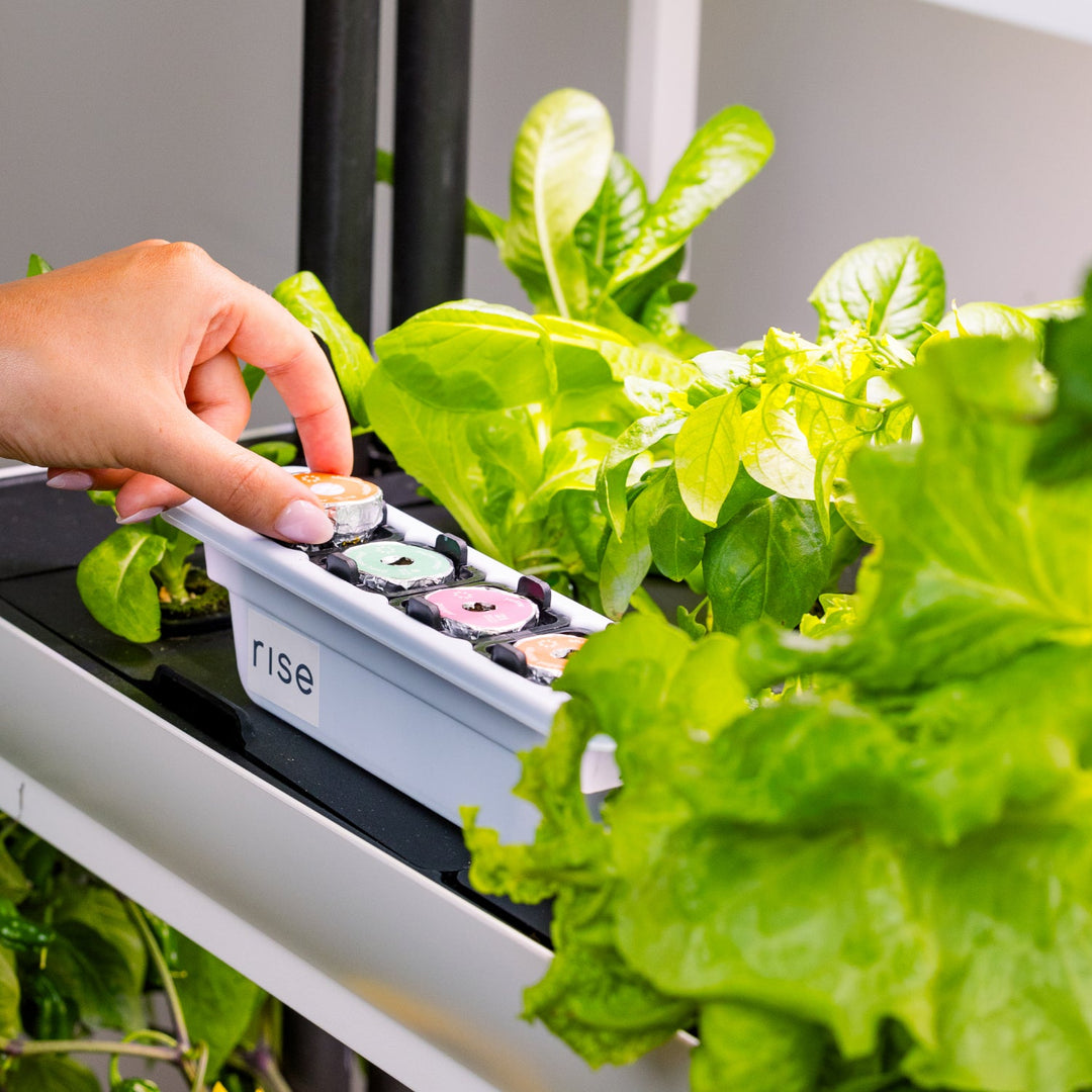 Rise Garden 3 Smart Indoor Hydroponic Garden System