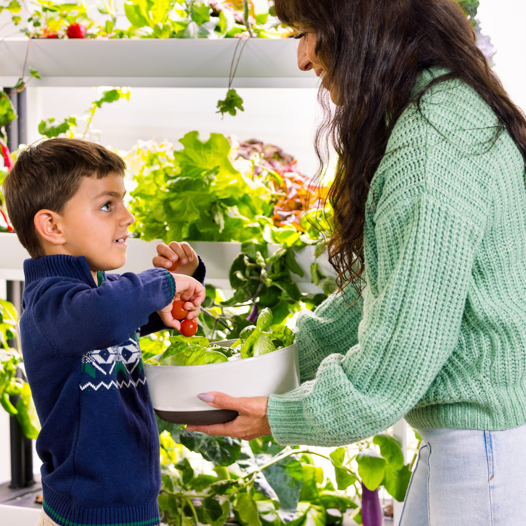 Rise Garden 3 Smart Indoor Hydroponic Garden System