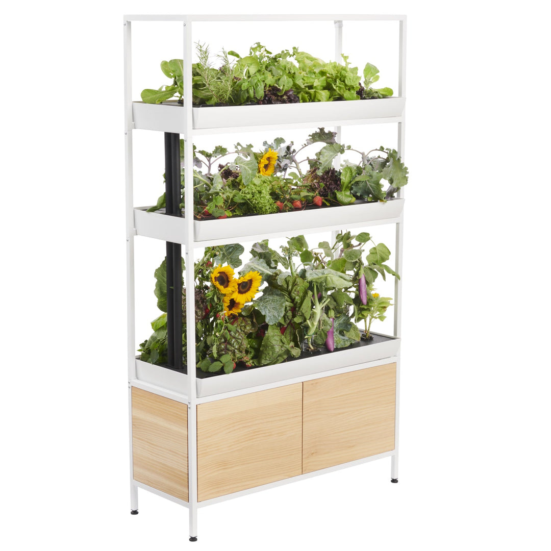 Rise Garden 3 Smart Indoor Hydroponic Garden System
