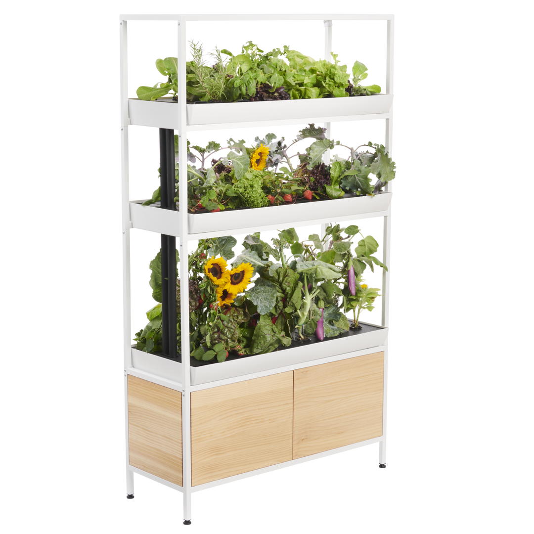 Rise Garden 3 Smart Indoor Hydroponic Garden System