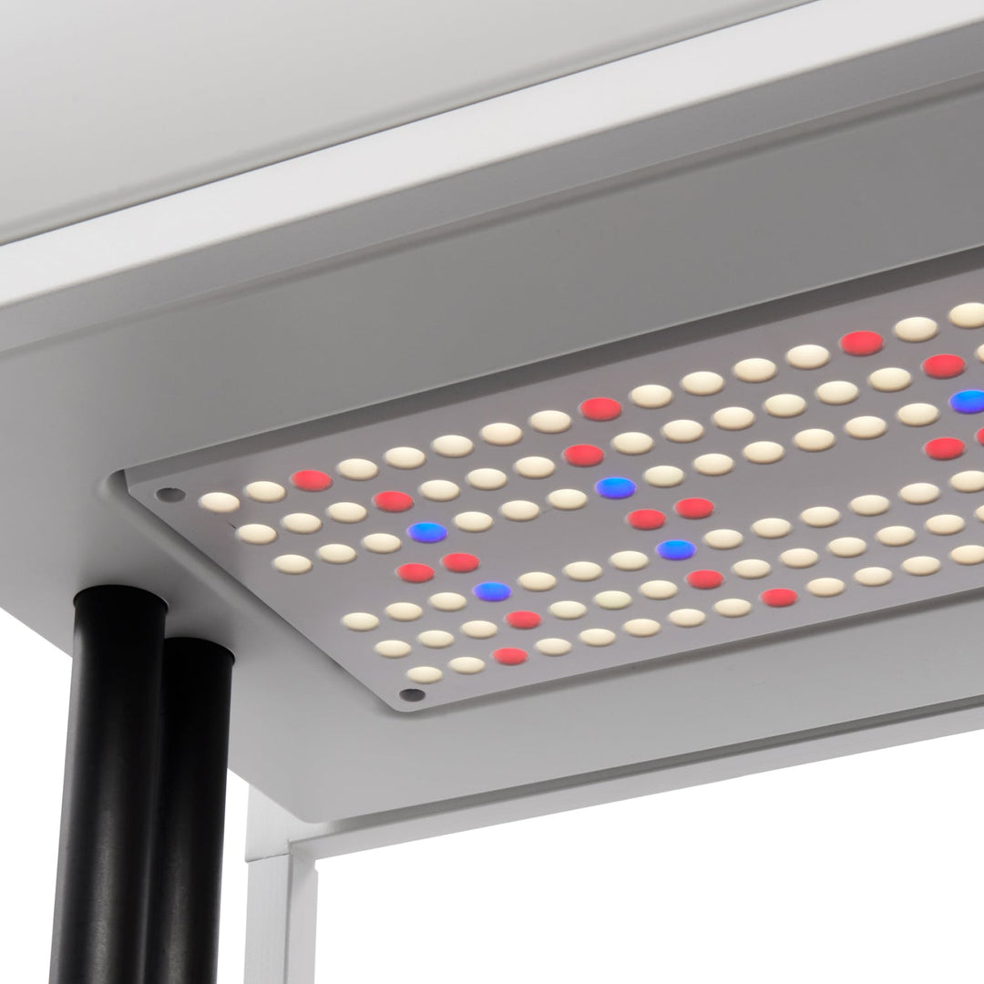 Rise Garden 3 Smart Indoor Hydroponic Garden System