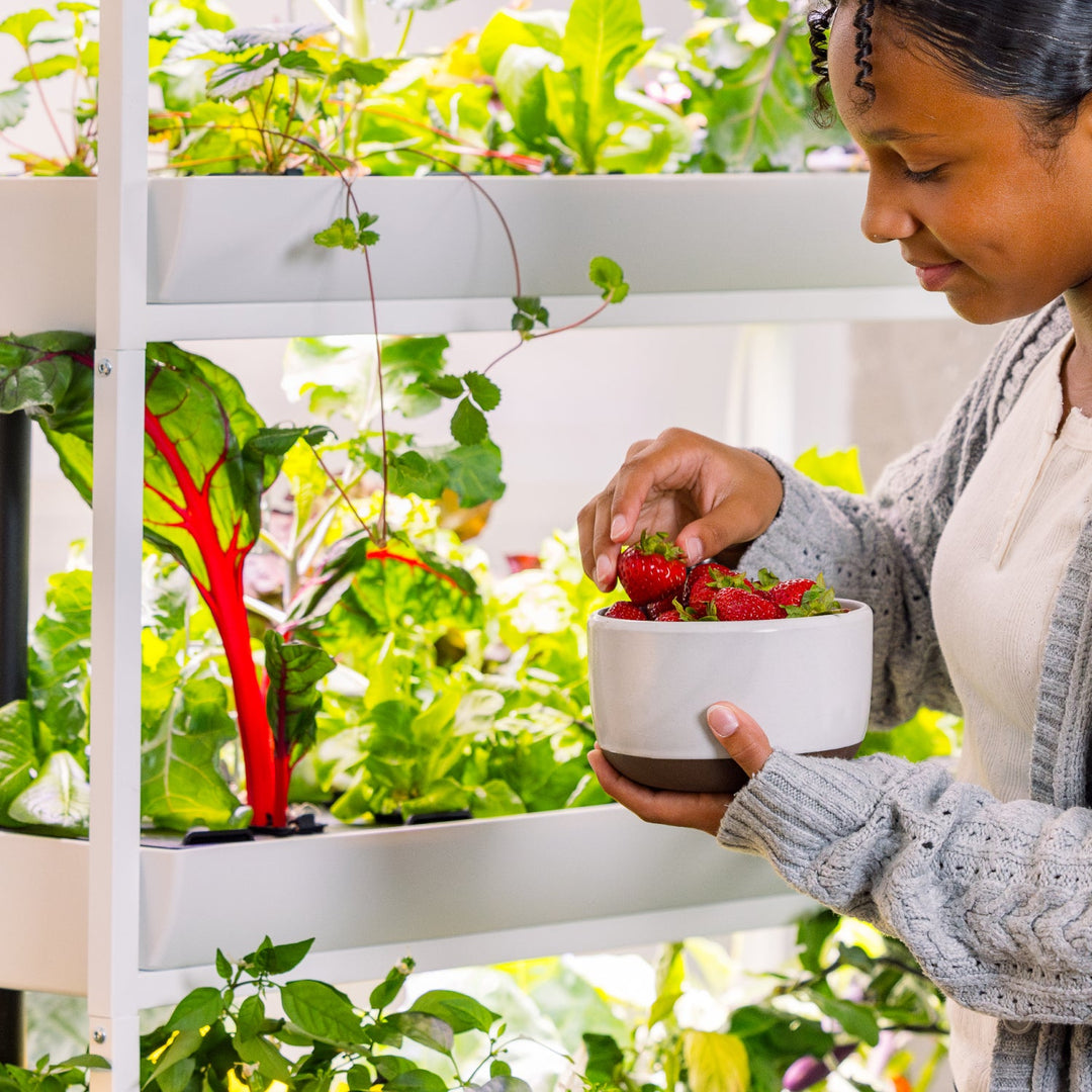 Rise Garden 3 Smart Indoor Hydroponic Garden System