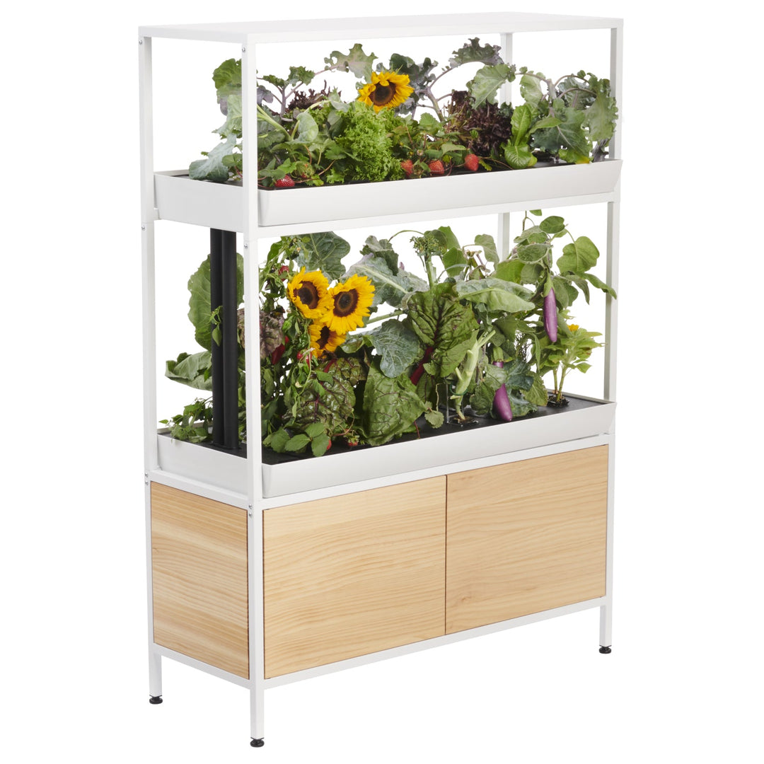 Rise Garden 3 Smart Indoor Hydroponic Garden System