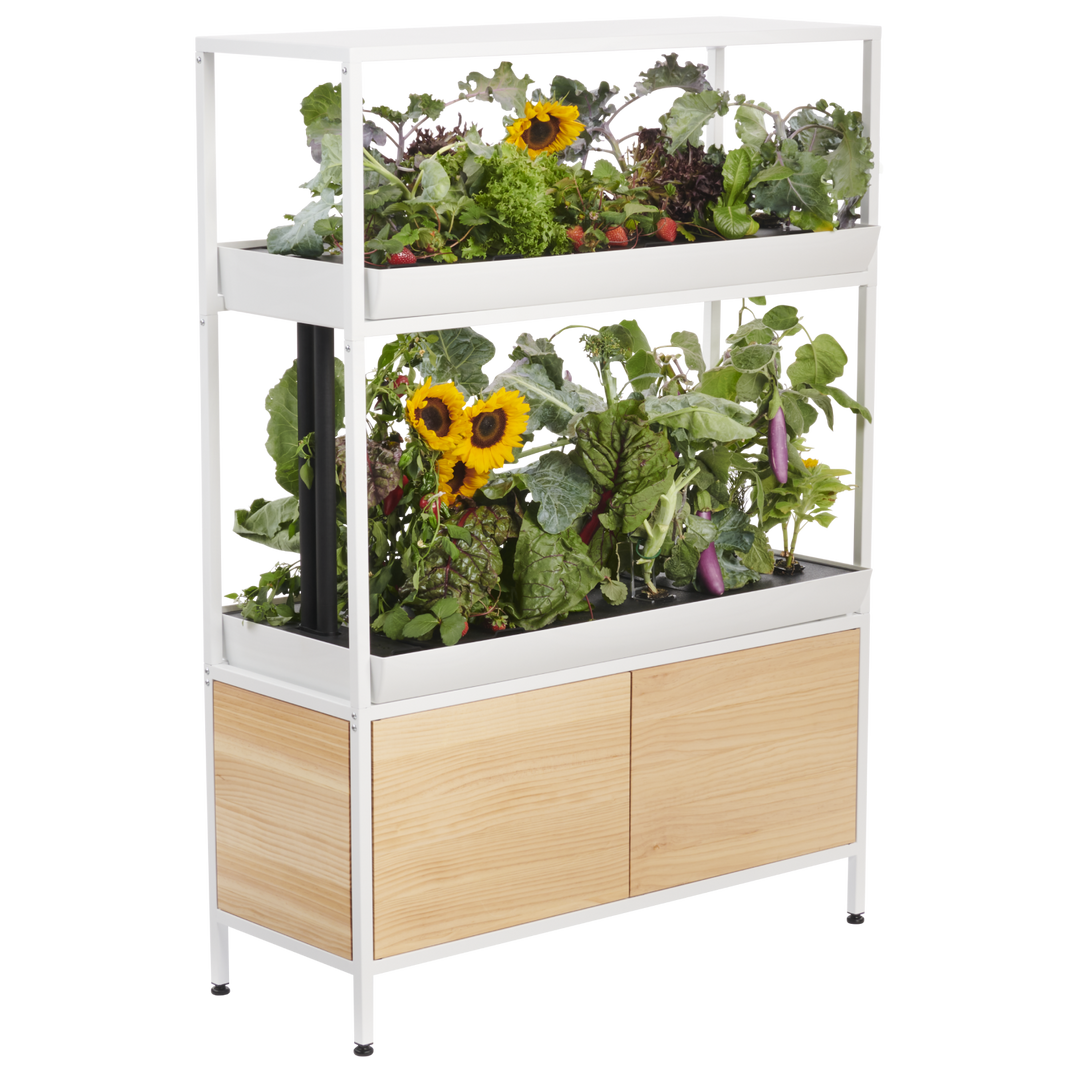 Rise Garden 3 Smart Indoor Hydroponic Garden System